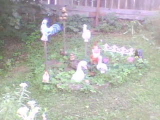 IMG510.jpg